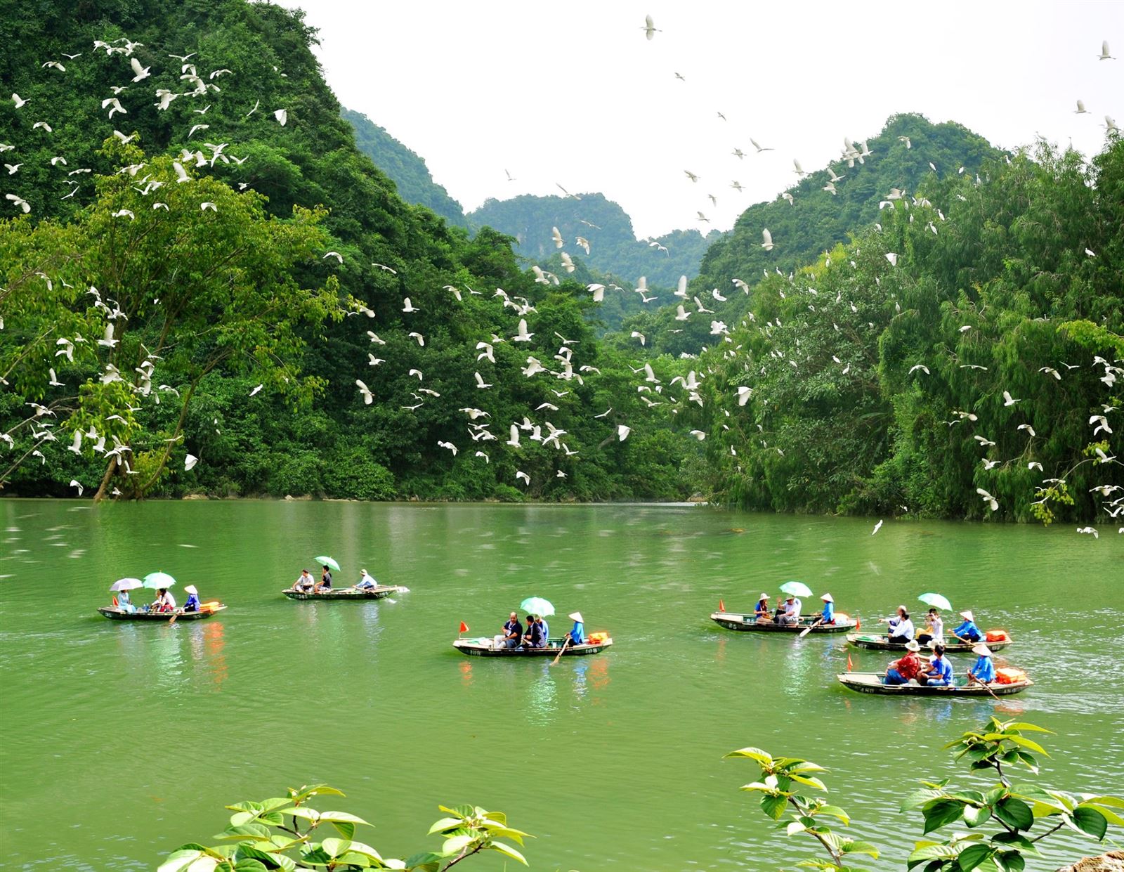 Tam Coc – Bich Dong