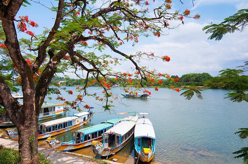 Thien Mu Pagoda is also an ideal place for sightseeing. After spending time at the pagoda, you can relax and admire the tranquility of the Perfume River, with dragon boats docking in front of the pagoda, creating a serene and quiet space