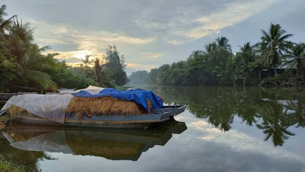 Ben Tre Beauty: Capturing the Tranquil Serenity of Coconut Land in Photographs