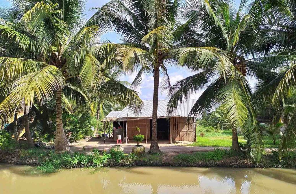 Ben Tre Beauty: Capturing the Tranquil Serenity of Coconut Land in Photographs